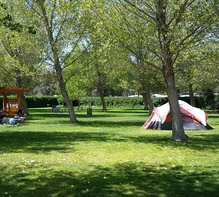 aviator-park-and-campground-photo